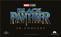 Black Panther in Concert